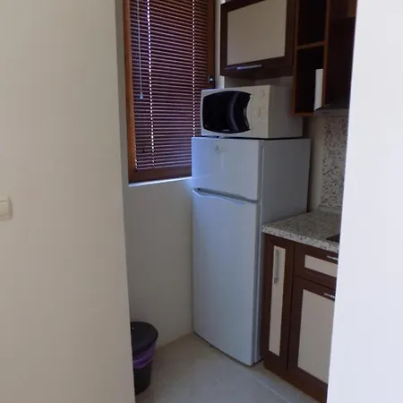 아파트 двустаен в комплекс нестинарка 사레보